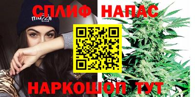 скорость Гусев