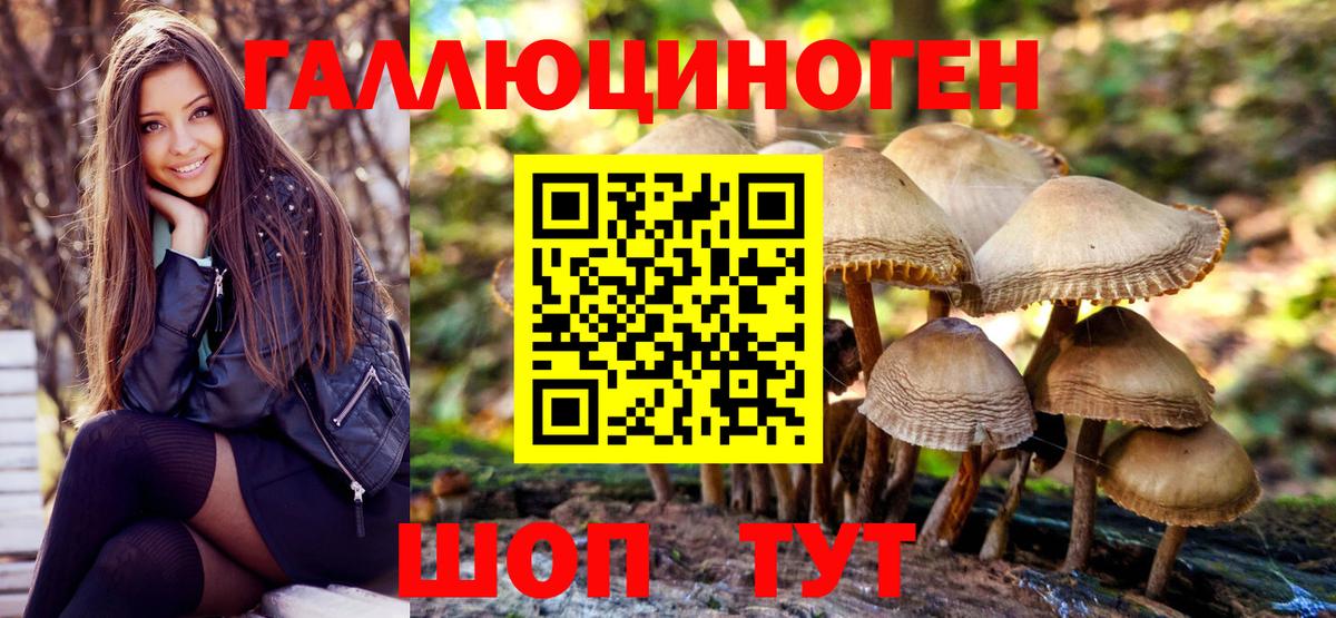 Галлюциногенные грибы мухоморы Зеленогорск