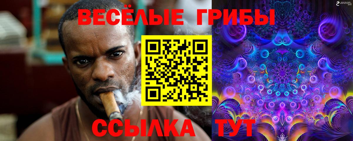 наркота  Псилоцибиновые грибы Magic Shrooms  Вход с VPN  Галлюциногенные грибы прущие грибы  Зеленогорск 